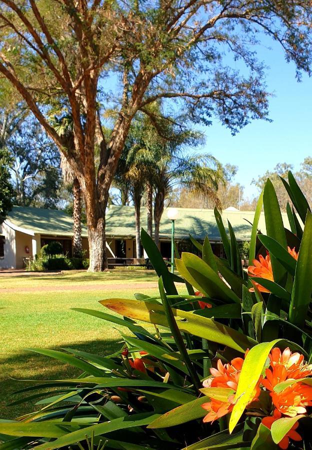 Haggards On Hilldrop Bed & Breakfast Newcastle Bagian luar foto