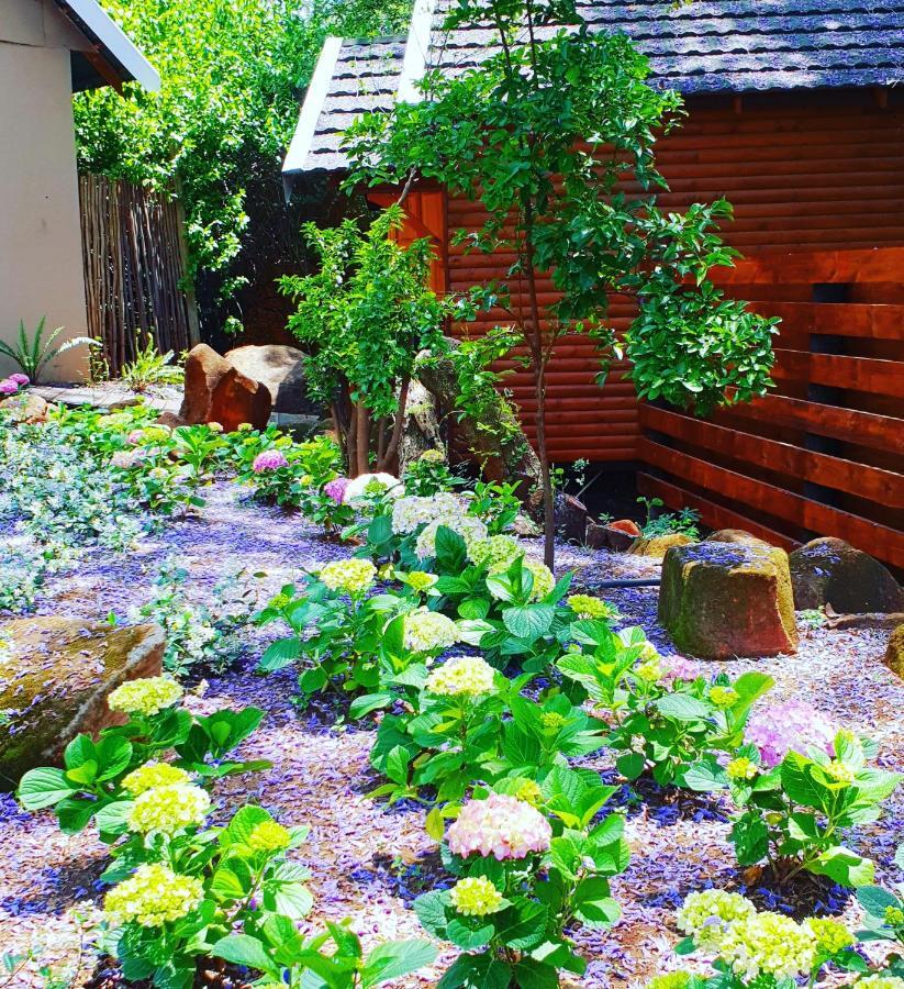 Haggards On Hilldrop Bed & Breakfast Newcastle Bagian luar foto