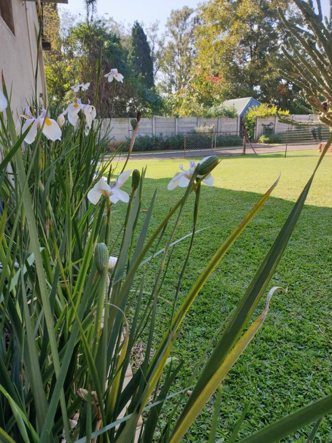 Haggards On Hilldrop Bed & Breakfast Newcastle Bagian luar foto