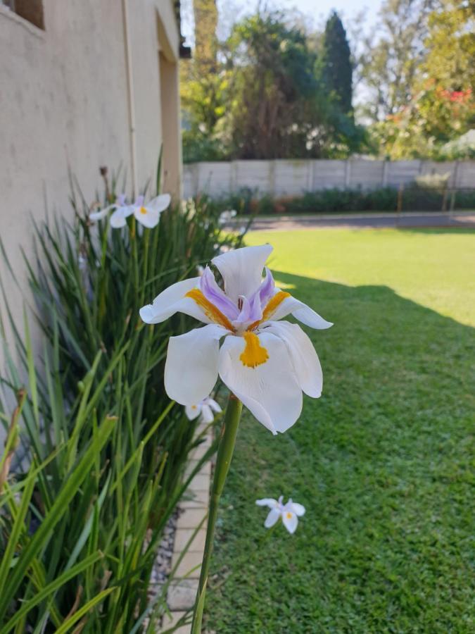 Haggards On Hilldrop Bed & Breakfast Newcastle Bagian luar foto